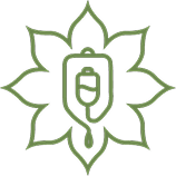 Lotus IV graphic