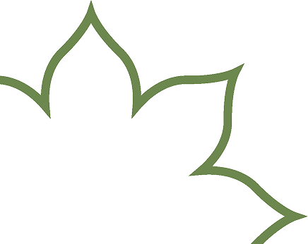 Lotus outline in green
